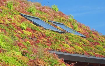 Rotherwick living roof systems