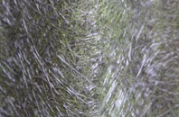 Rotherwick fibreglass roof work